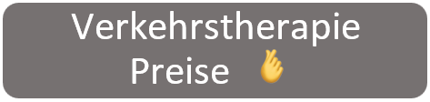 Verkehrstherapie Preise