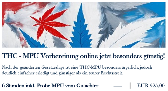 THC MPU Vorbereitung 